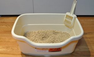 Areia para animais domésticos