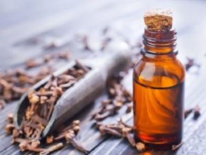 Cravo da índia para matar mosquitos