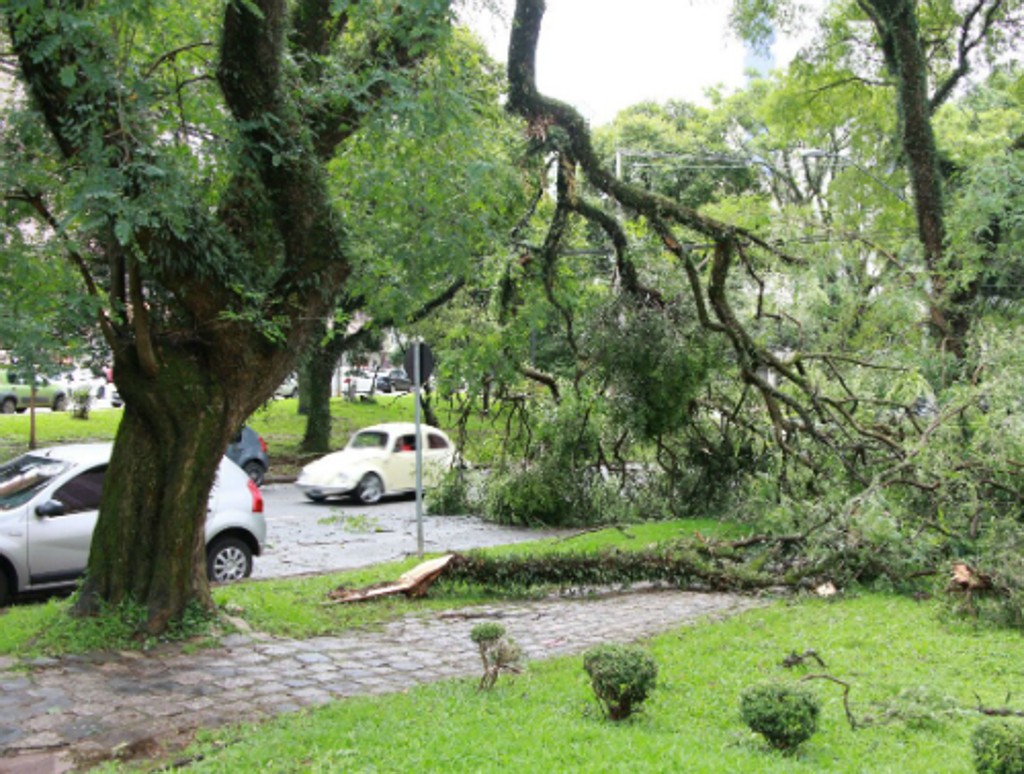 Chuva de verão - Áreas verdes
